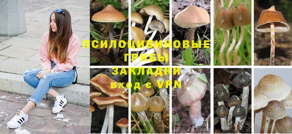 спиды Балабаново