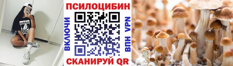 купить закладку  Куртамыш  мега   Галлюциногенные грибы ЛСД 